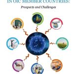 Root Causes of Deforestation