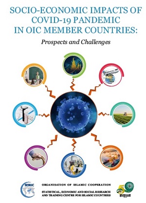 Root Causes of Deforestation